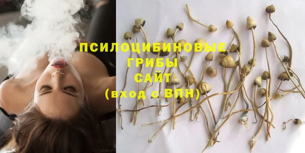 каннабис Бородино