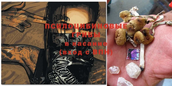 ешки Бугульма