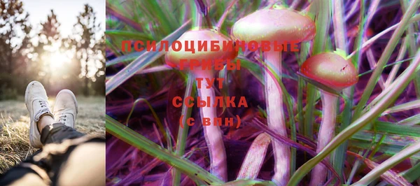 каннабис Бородино