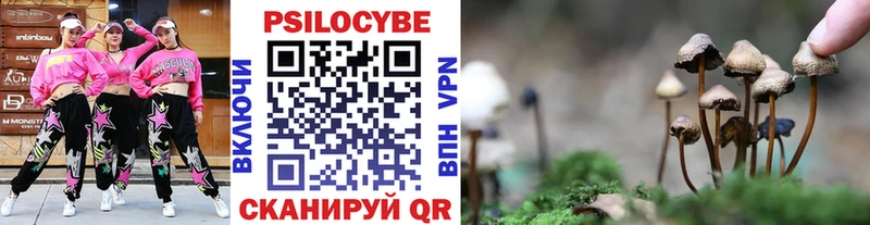 Псилоцибиновые грибы прущие грибы  Нарткала 